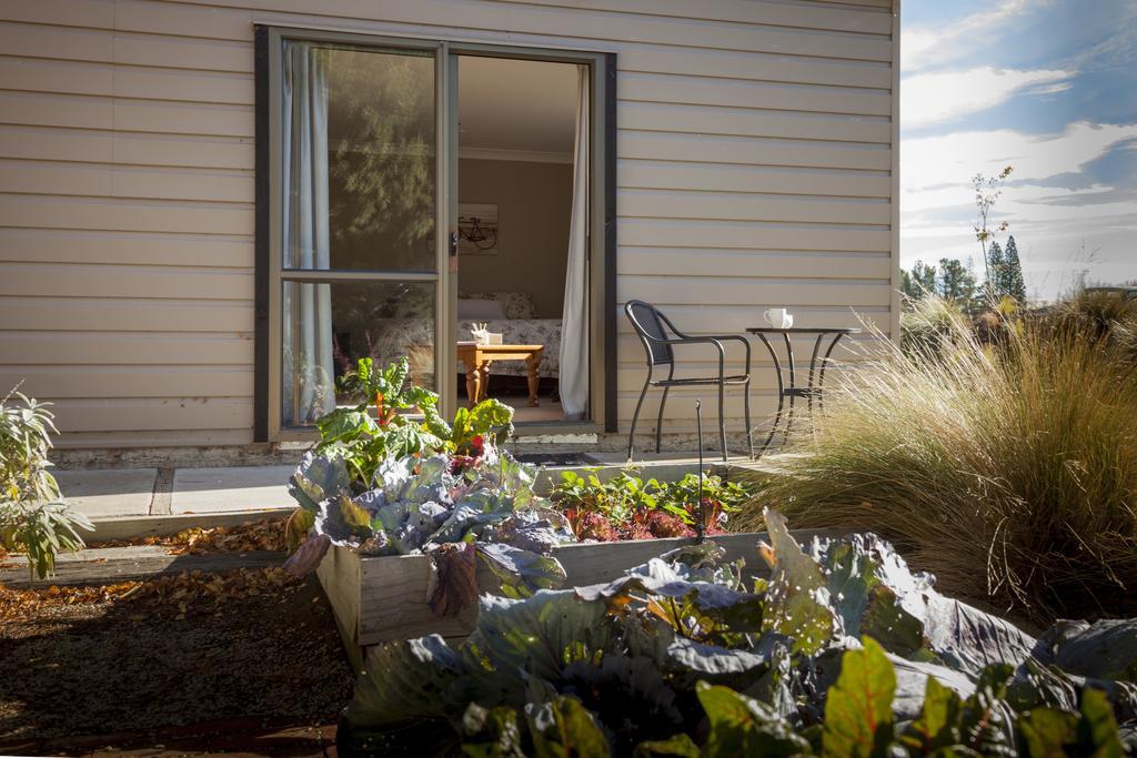 Trout 'N' Trail B&B Ranfurly 部屋 写真