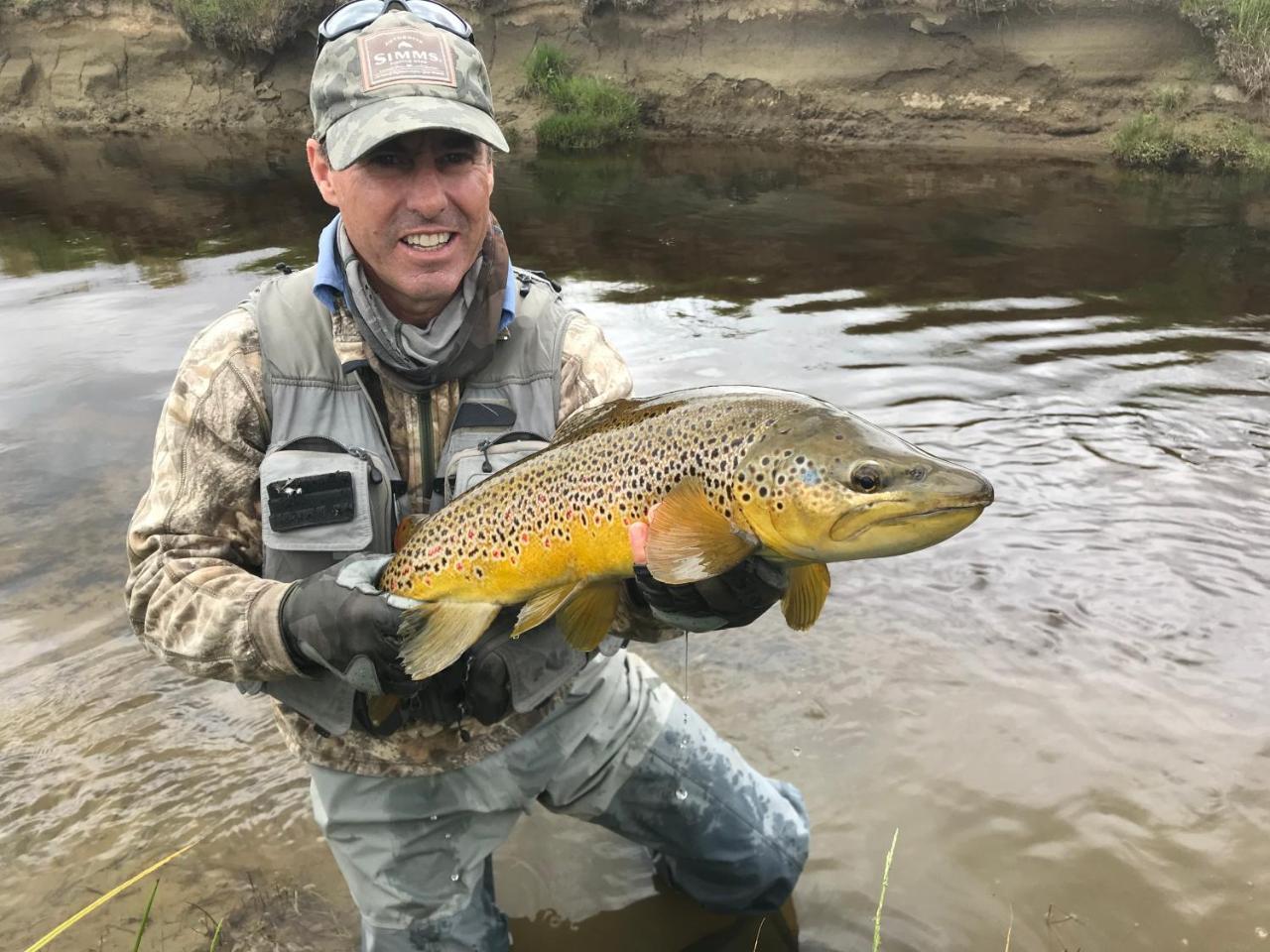 Trout 'N' Trail B&B Ranfurly エクステリア 写真